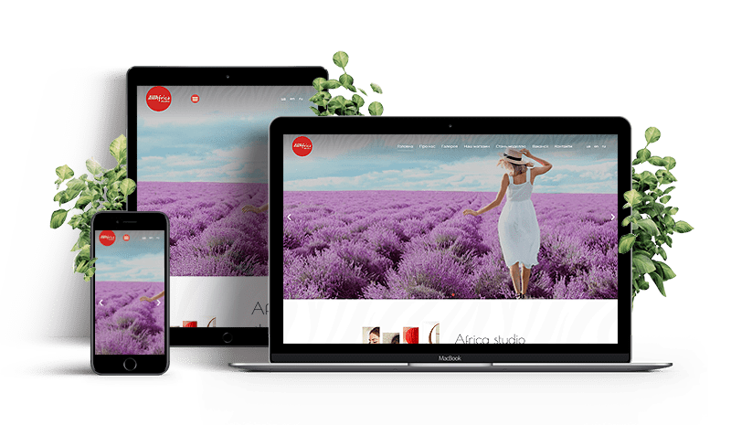 WordPress Developer Header Slide-3