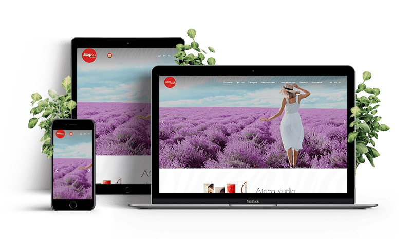 WordPress Developer Header Slide-3